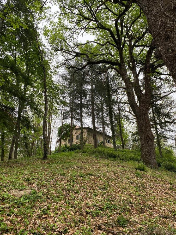 Naturemugello Oasi Naturista Dicomano Esterno foto